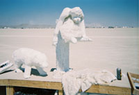 Intelligent Design by wizzard for burning man 2006